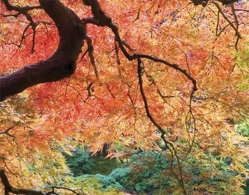 Brevlådor Japanese Garden