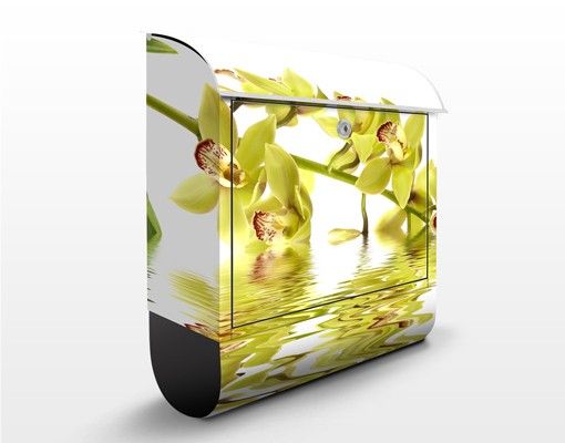 Brevlådor blommor  Elegant Orchid Waters