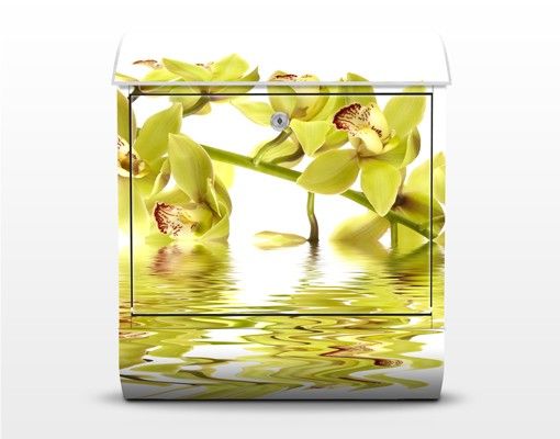 Brevlådor gul Elegant Orchid Waters