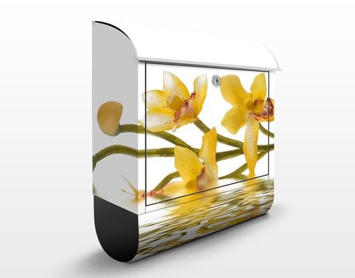 Brevlådor blommor  Saffron Orchid Waters