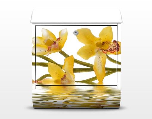 Brevlådor gul Saffron Orchid Waters