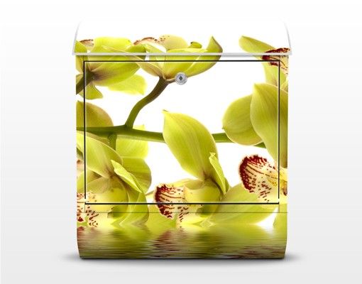 Brevlådor Splendid Orchid Waters