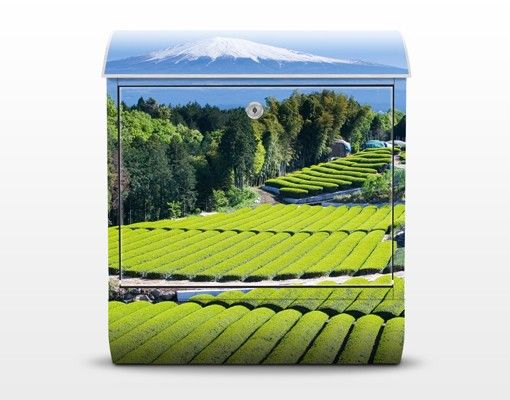 Brevlådor grön Tea Fields In Front Of The Fuji
