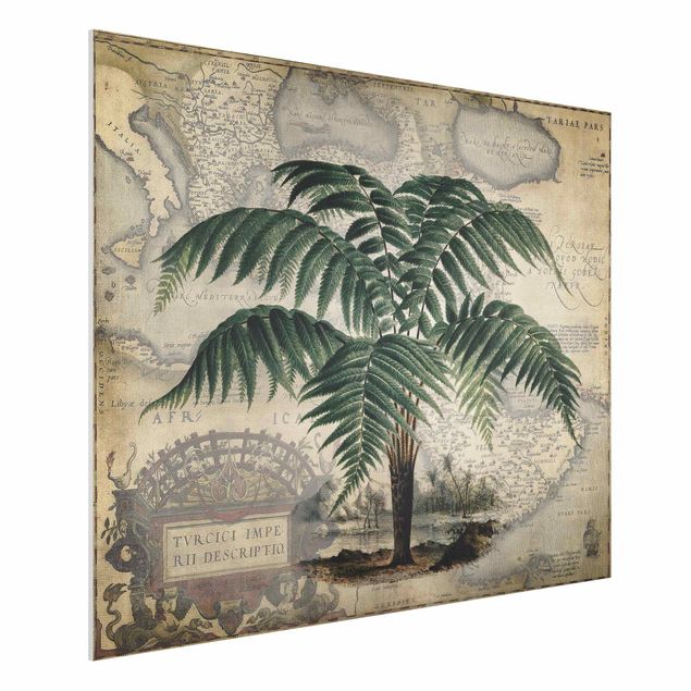 Kök dekoration Vintage Collage - Palm And World Map