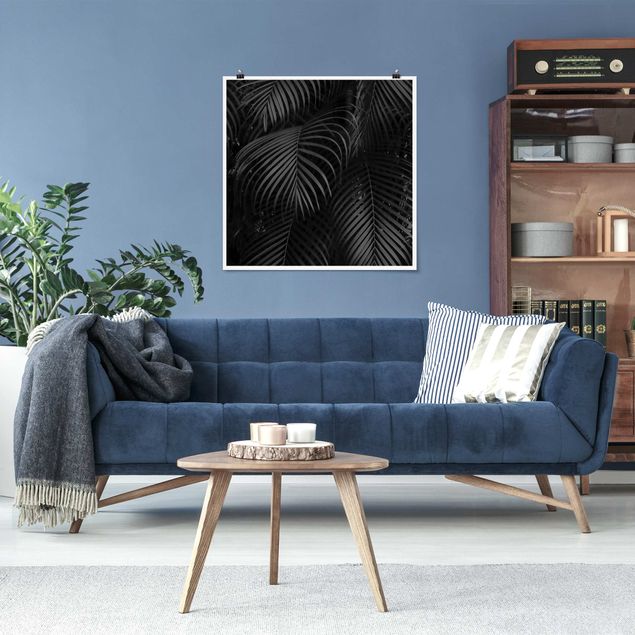 Posters blommor  Black Palm Fronds