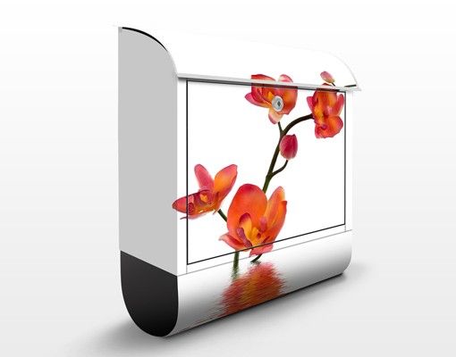 Brevlådor blommor  Flamy Orchid Waters