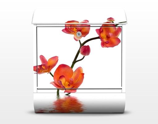 Brevlådor Flamy Orchid Waters