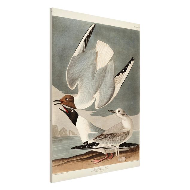 Kök dekoration Vintage Board Bonaparte Gull