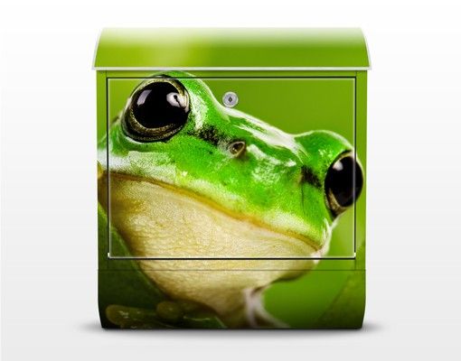 Brevlådor grön Frog