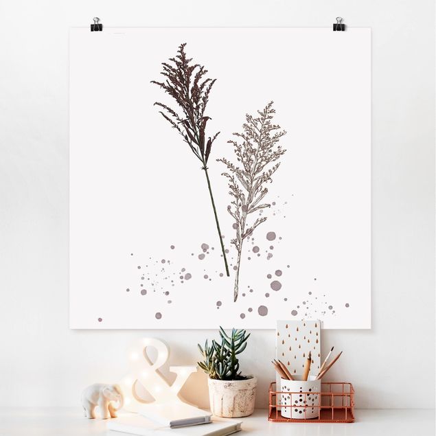Posters blommor  Botanical Watercolour - Fescue Reed