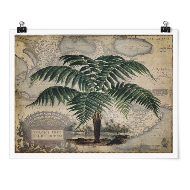 Posters världskartor Vintage Collage - Palm And World Map