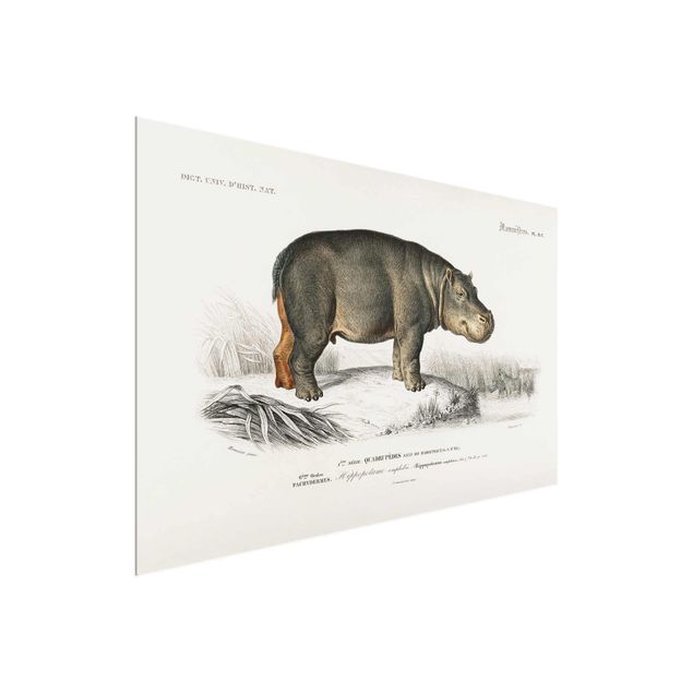 Glastavlor landskap Vintage Board Hippo