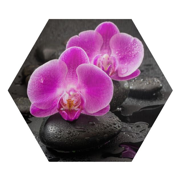 Tavlor konstutskrifter Pink Orchid Flower On Stones With Drops