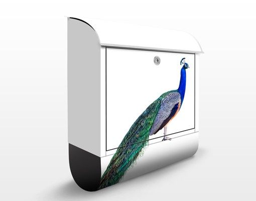 Brevlådor djur Peacock