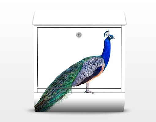 Brevlådor färgglada Peacock