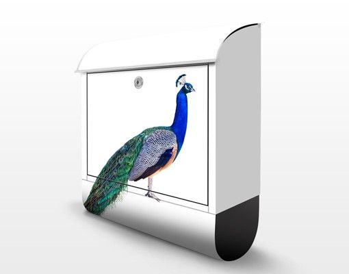 Brevlådor Peacock
