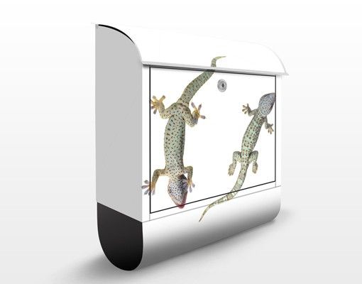 Brevlådor djur Nosey Geckos