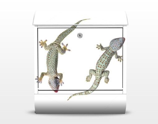 Brevlådor grön Nosey Geckos