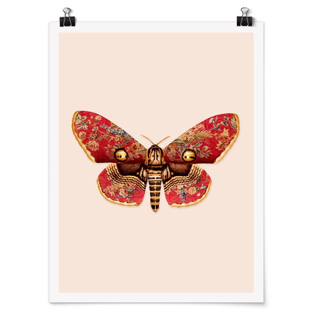 Posters djur Vintage Moth