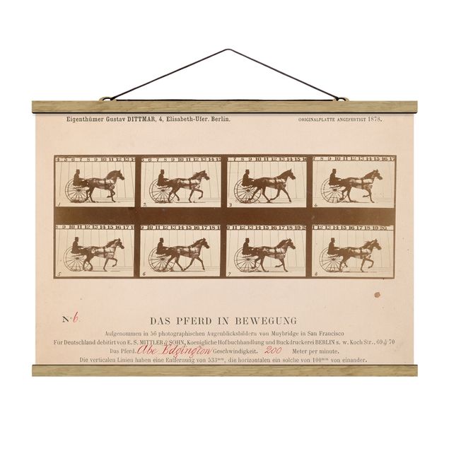 Konststilar Eadweard Muybridge - The horse in Motion