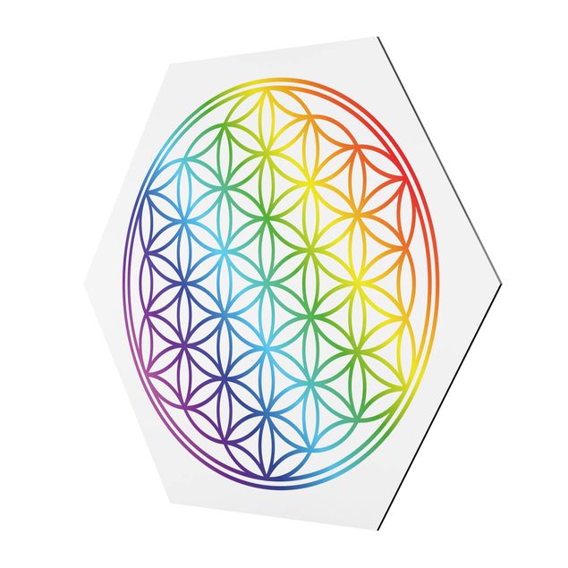 Hexagonala tavlor Flower of Life rainbow color