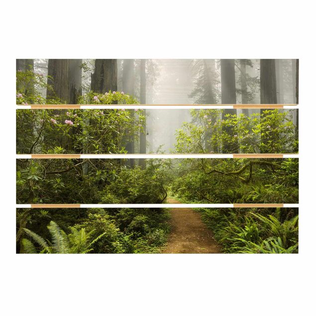 Tavlor Misty Forest Path