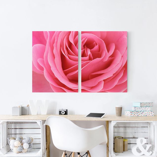 Canvastavlor blommor  Lustful Pink Rose