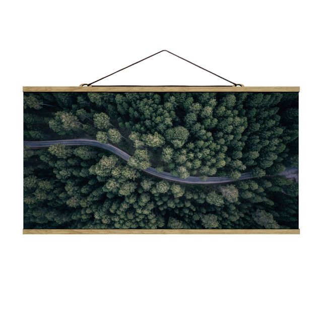 Tavlor natur Aerial View - Forest Road From The Top