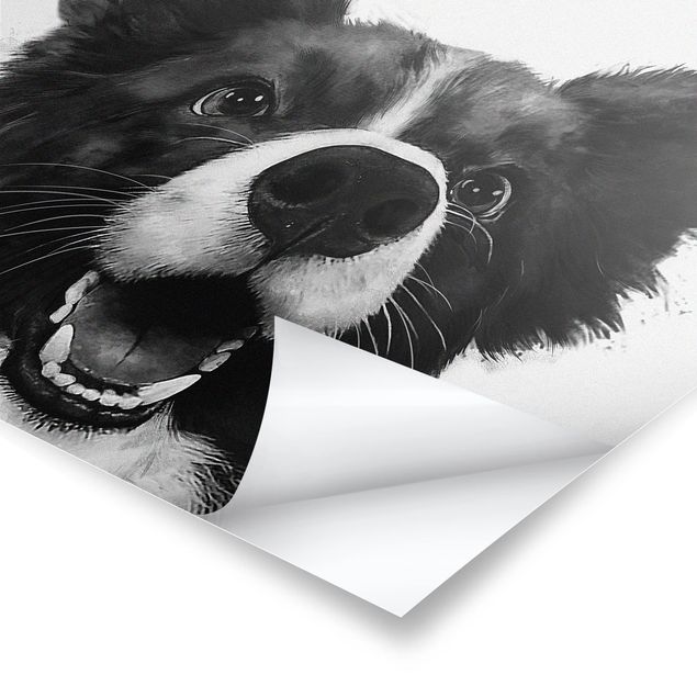 Tavlor Laura Graves Art Illustration Dog Border Collie Black And White Painting