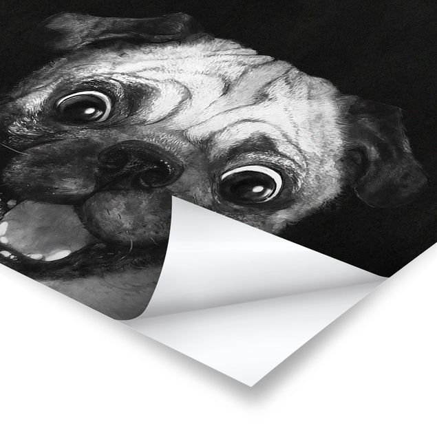 Tavlor svart och vitt Illustration Dog Pug Painting On Black And White