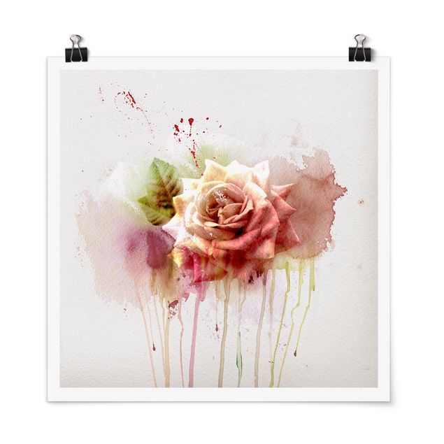 Tavlor blommor Watercolour Rose