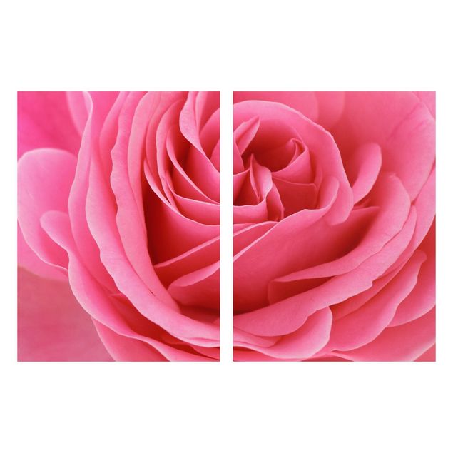 Tavlor blommor  Lustful Pink Rose