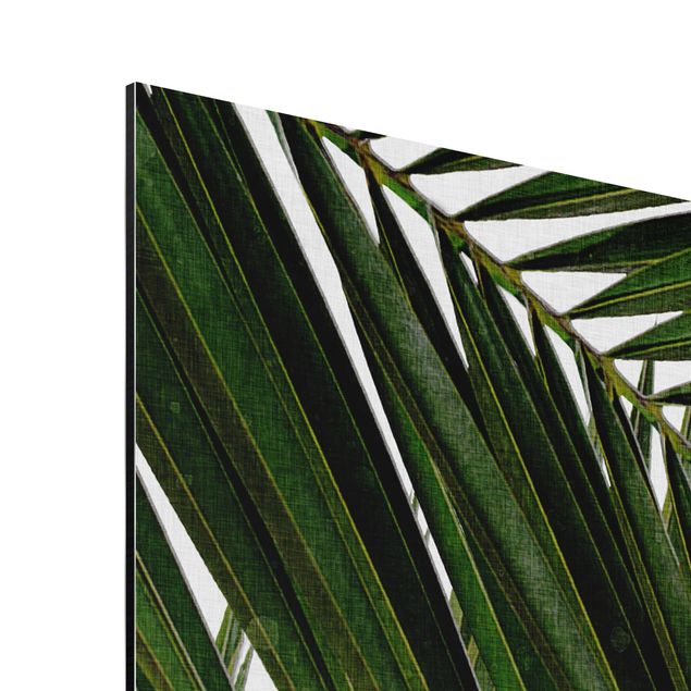 Tavlor konstutskrifter View Through Green Palm Leaves