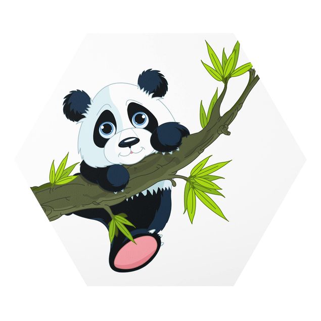 Tavlor natur Climbing Panda