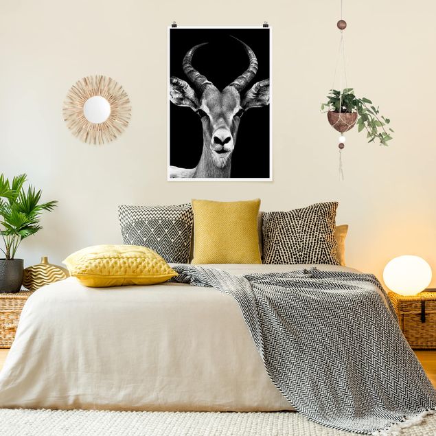 Posters djur Impala antelope black and white