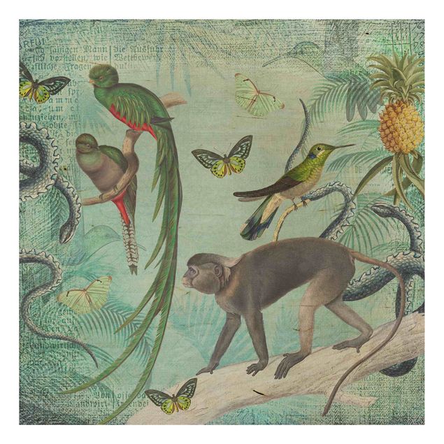 Trätavlor blommor  Colonial Style Collage - Monkeys And Birds Of Paradise