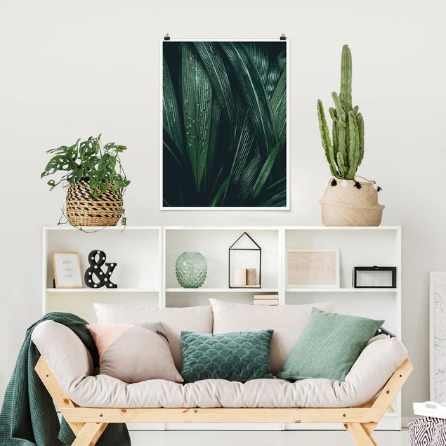 Posters blommor  Green Palm Leaves