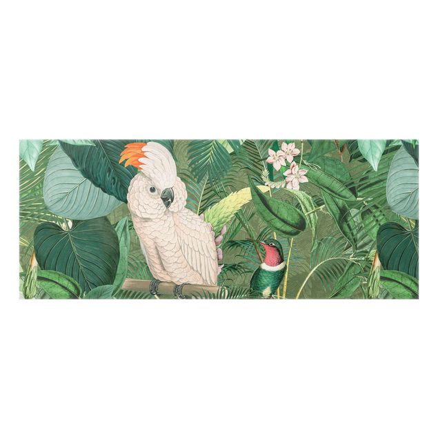 glasskivor kök Vintage Collage - Cockatoo And Hummingbird