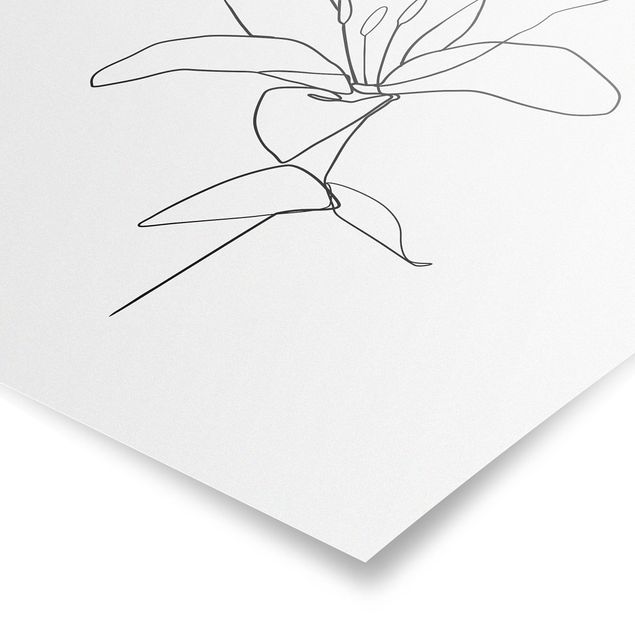 Tavlor blommor Line Art Flower Black White