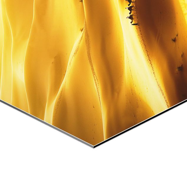 Hexagonala tavlor Golden Dunes