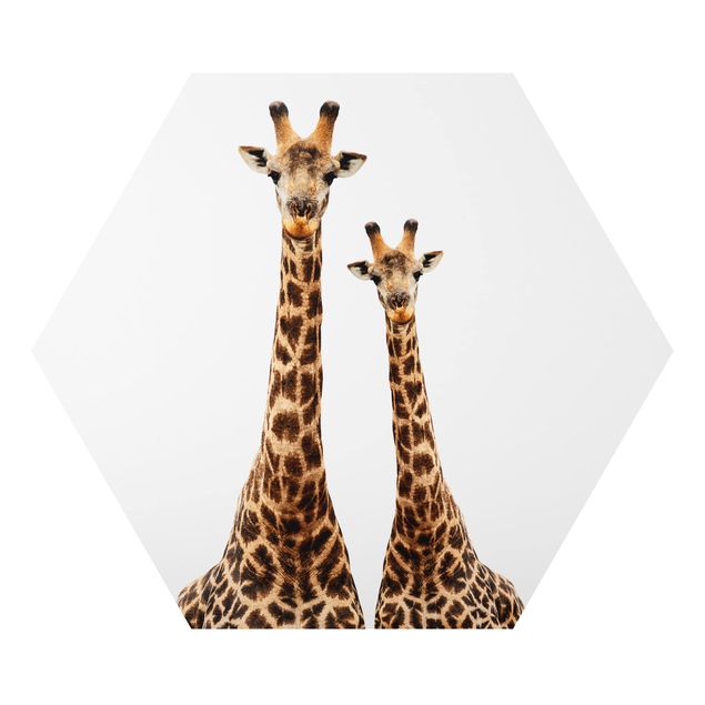 Tavlor Portait Of Two Giraffes