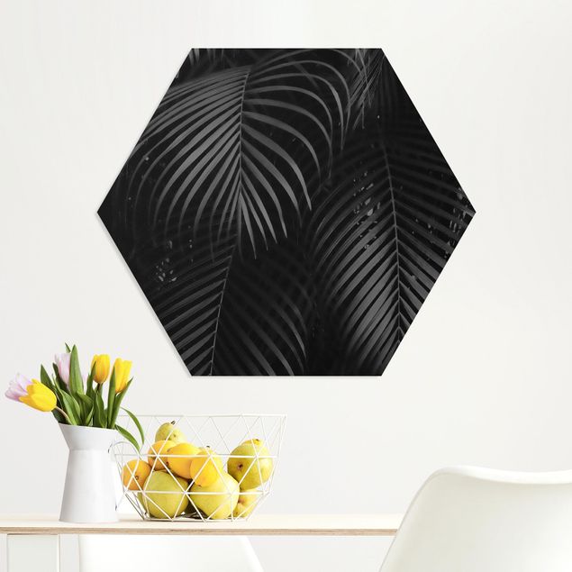 Kök dekoration Black Palm Fronds