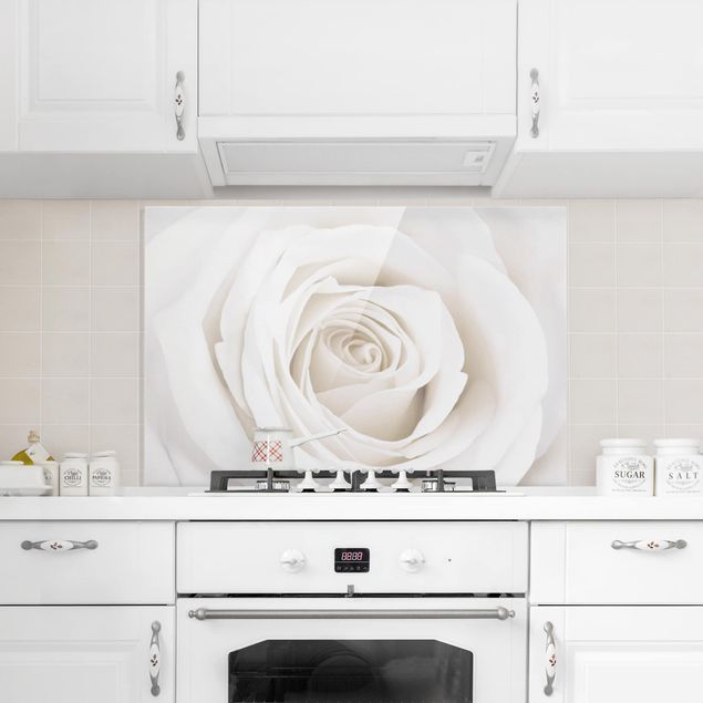 Stänkskydd kök glas blommor  Pretty White Rose