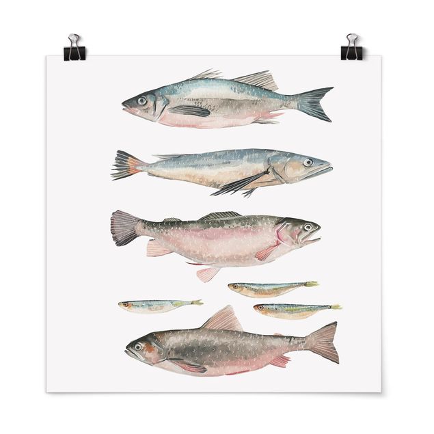 Posters ordspråk Seven Fish In Watercolour I