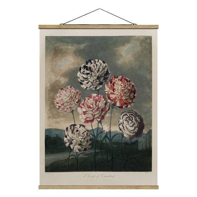Tavlor retro Botany Vintage Illustration Blue And Red Carnations