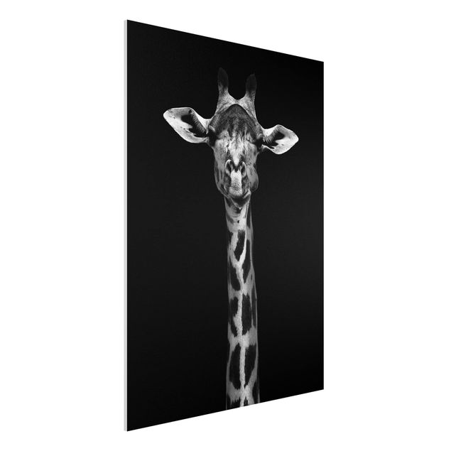 Kök dekoration Dark Giraffe Portrait