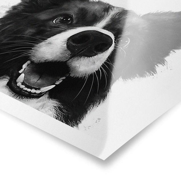 Tavlor svart och vitt Illustration Dog Border Collie Black And White Painting