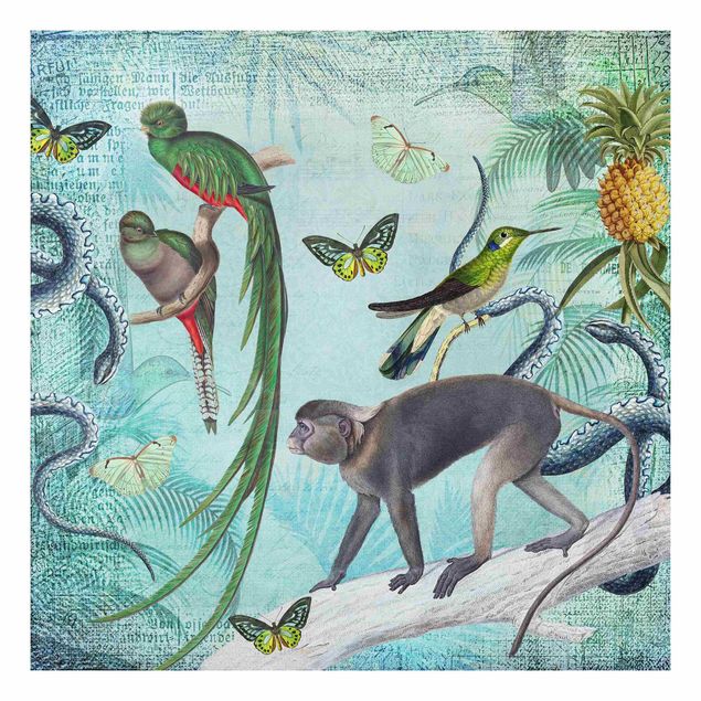 Kök dekoration Colonial Style Collage - Monkeys And Birds Of Paradise
