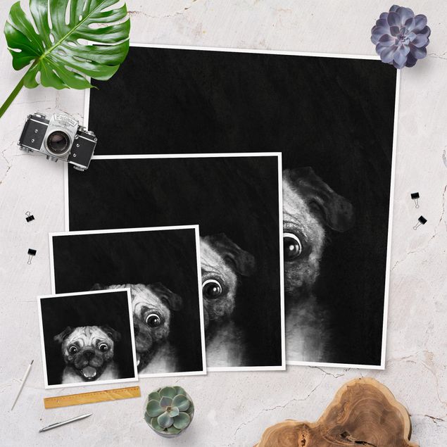 Tavlor Laura Graves Art Illustration Dog Pug Painting On Black And White