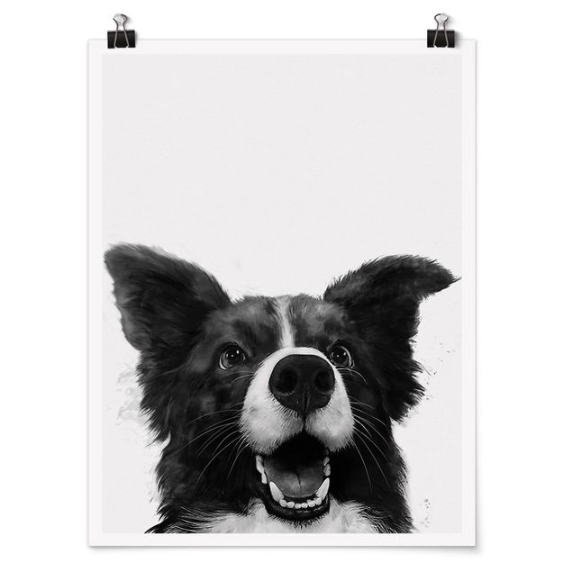 Posters konstutskrifter Illustration Dog Border Collie Black And White Painting
